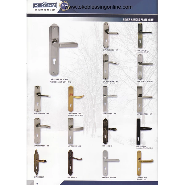 Dexon Stainless Steel Door Handle