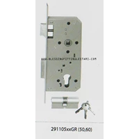 Lockcase Iseo Door Type 291105xxGR Finish Forend Gray 22 mm